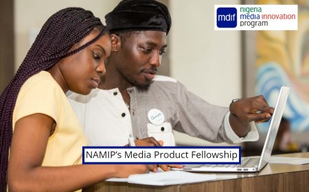 The Nigeria Media Innovation Program 2023 for Media Professionals