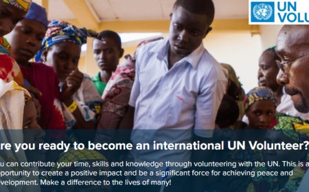 United Nations Volunteers (UNV) Program  (Volunteer abroad)
