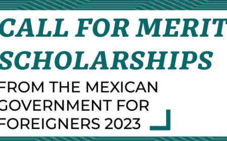 Government of Mexico Excellence Scholarships