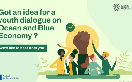 Africa-Europe Foundation Partners Initiative 2023 (Win up to  5,000 Euros)