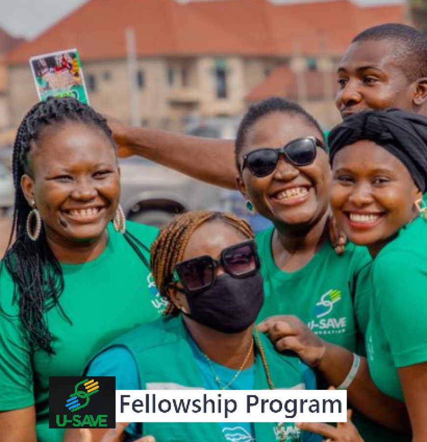 U-Save Foundation Fellowship Program for Nigerians