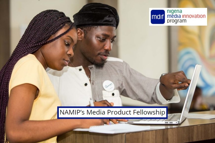 The Nigeria Media Innovation Program 2023 for Media Professionals