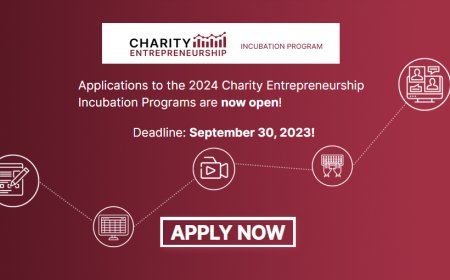 Charity Entrepreneurship Incubation Program