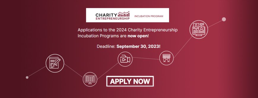 Charity Entrepreneurship Incubation Program