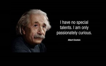 Unleashing Curiosity: The Power of Lifelong Learning