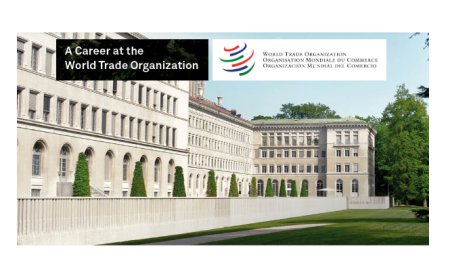 World Trade Organization (WTO) Young Professionals Programme 2025