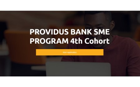 Providus Bank SME Program 2024 for Young Nigerian Entrepreneurs
