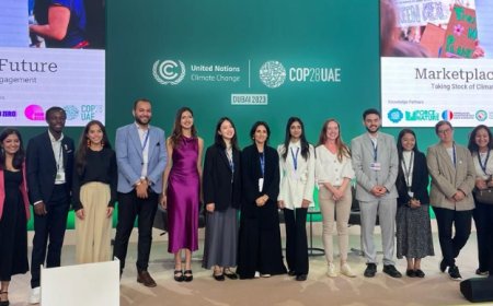 UNFCCC Climate Champions Youth Fellowship 2024 for Young Professionals (Paid Fellowship)