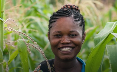 Mastercard Foundation Fund for Resilience and Prosperity Agribusiness Challenge 2024