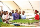 African Food Changemakers Brace Capacity Development Program 2024 (for Young Agripreneurs)
