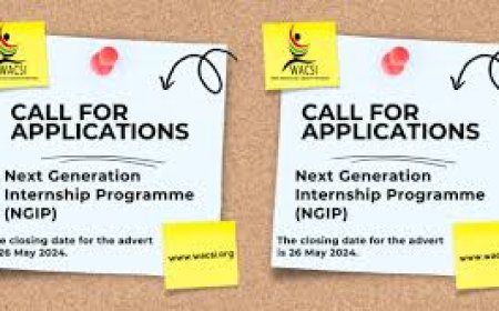 West Africa Civil Society Institute (WACSI) 2024 Next Generation Internship Programme (Fully Funded)