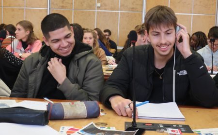 ILO’S Social Finance Fellowship Programme 2024 for Young Professionals