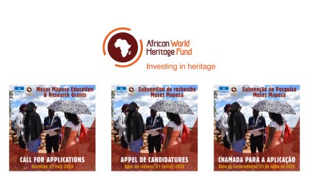 AWHF Moses Mapesa Research Grant 2024 for Young Professionals