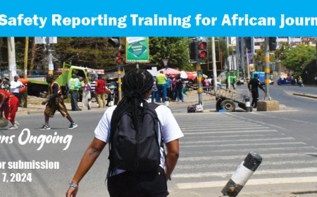 WHO/Science Africa Road Safety Reporting Training for African Journalists