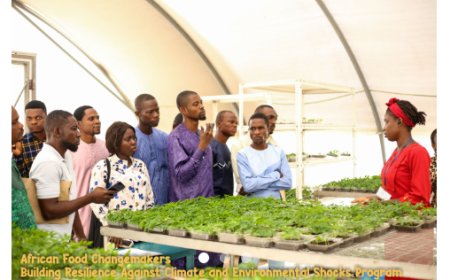 African Food Changemakers Brace Capacity Development Program 2024 (for Young Agripreneurs)