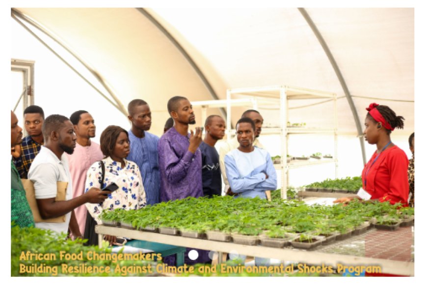 African Food Changemakers Brace Capacity Development Program 2024 (for Young Agripreneurs)