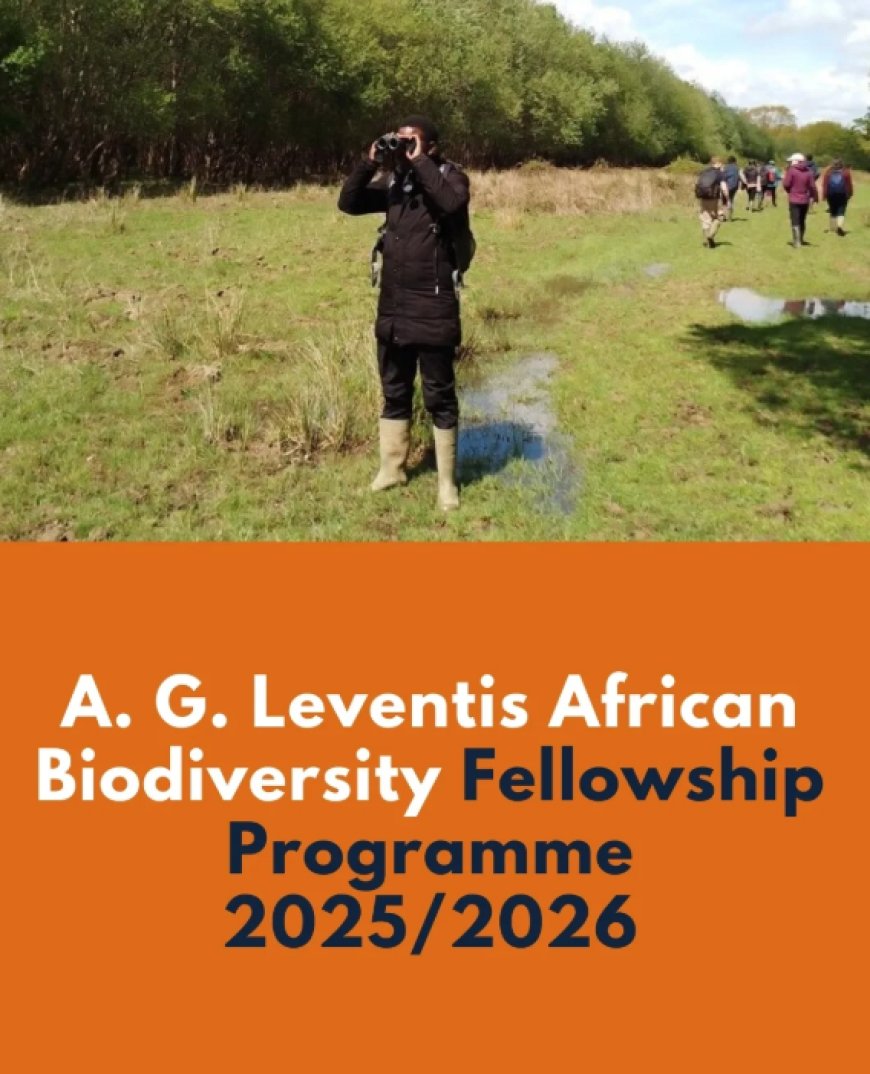 25 GLOBAL FELLOWSHIPS & CONFERENCES FOR CHANGE MAKERS AND SCHOLARS