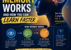 How Human Memory Works — and How You Can Learn Faster