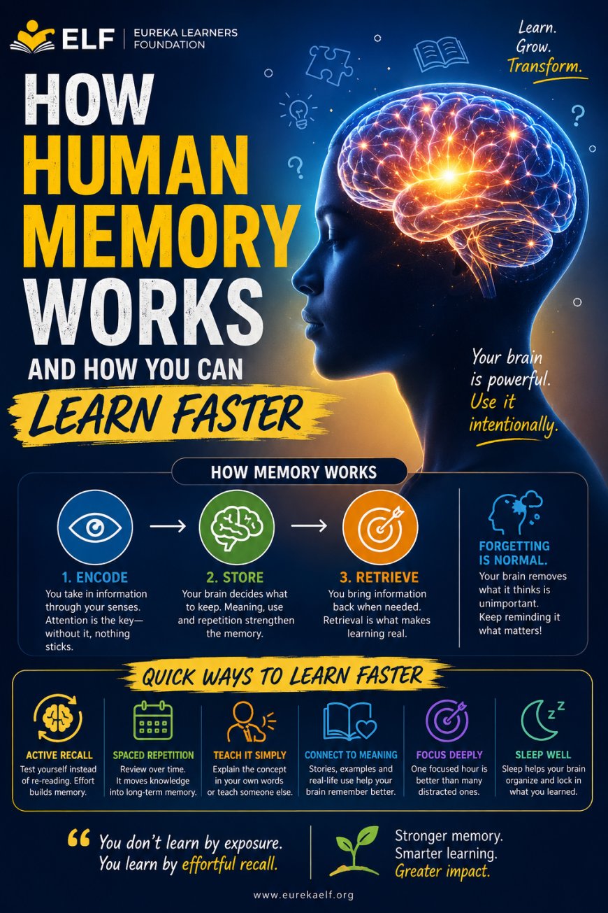 How Human Memory Works — and How You Can Learn Faster